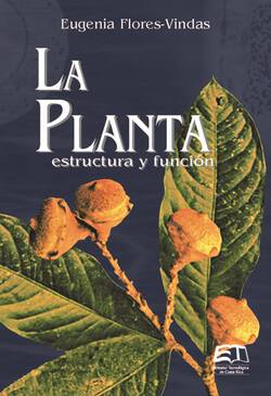 La planta: estructura y función