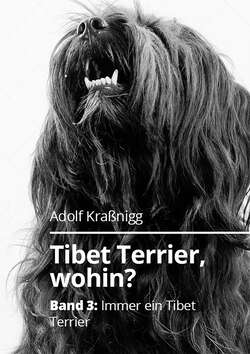 Tibet Terrier wohin?