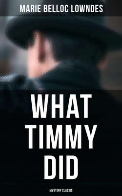 What Timmy Did (Mystery Classic)