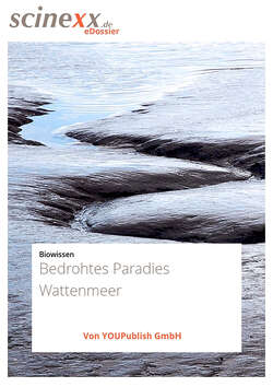 Bedrohtes Paradies Wattenmeer