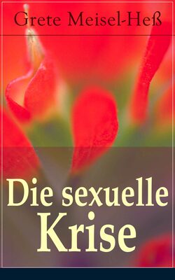 Die sexuelle Krise