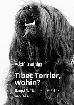 Tibet Terrier wohin?