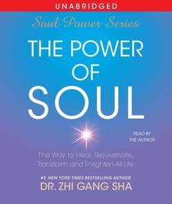 Power of Soul