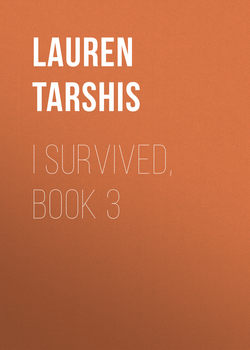 I Survived, Book 3