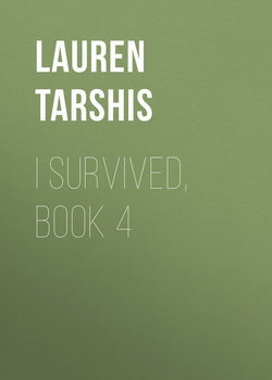 I Survived, Book 4