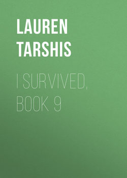 I Survived, Book 9