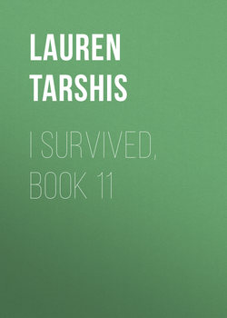 I Survived, Book 11