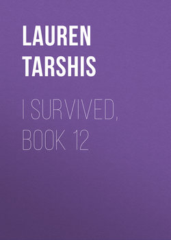 I Survived, Book 12