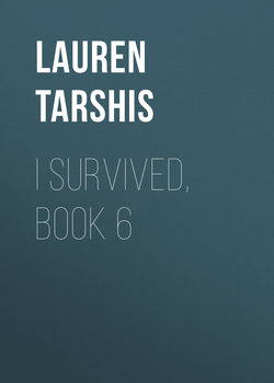 I Survived, Book 6
