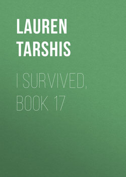 I Survived, Book 17