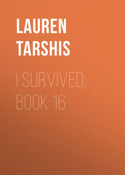 I Survived, Book 16
