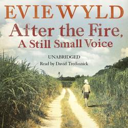 After the Fire, A Still Small Voice