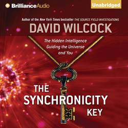 Synchronicity Key