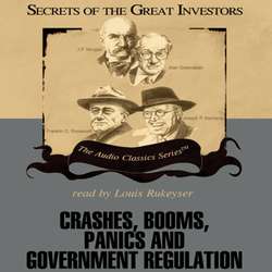 Crashes, Booms, Panics, and Government Regulation