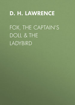 Fox, The Captain's Doll & The Ladybird