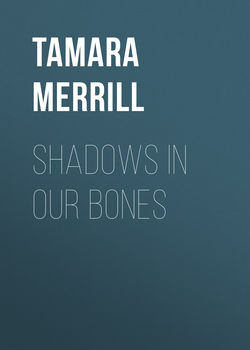 Shadows in Our Bones