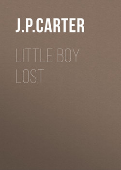 Little Boy Lost