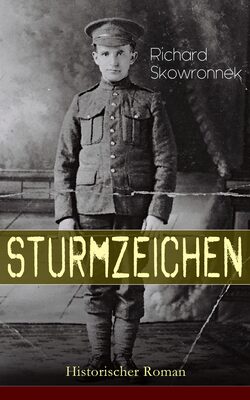 Sturmzeichen (Historischer Roman)