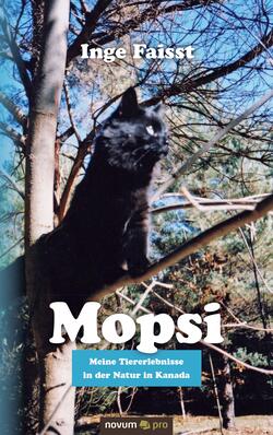 Mopsi