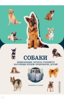 Собаки