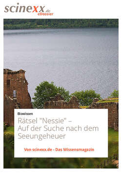 Rätsel "Nessie"