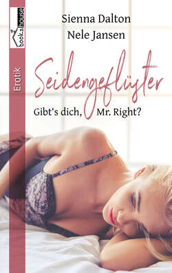 Seidengeflüster - Gibt's dich, Mr. Right?