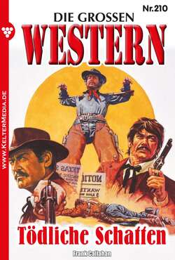 Die großen Western 210