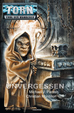 Torn 51 - Unvergessen