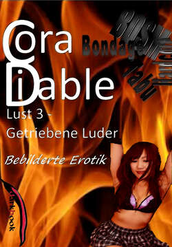 Lust 3 - Getriebene Luder