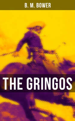 The Gringos