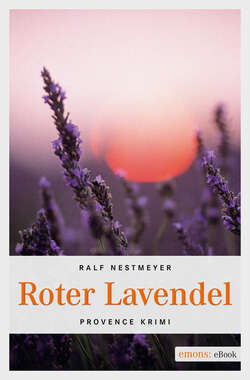 Roter Lavendel