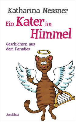 Ein Kater im Himmel