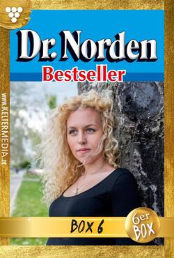 Dr. Norden Bestseller Jubiläumsbox 6 – Arztroman