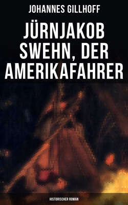 Jürnjakob Swehn, der Amerikafahrer: Historischer Roman