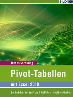 Pivot-Tabellen mit Excel 2010