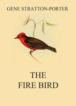 The Fire Bird