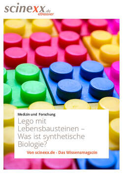 Lego mit Lebensbausteinen