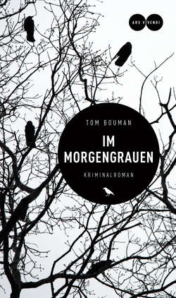 Im Morgengrauen (eBook)