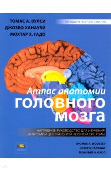 Атлас анатомии головного мозга. Наглядное руководство