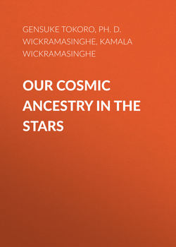 Our Cosmic Ancestry in the Stars