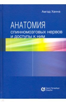 Анатомия спинномозговых нервов и доступы к ним