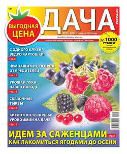 Дача Pressa.ru 06-2020