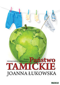 Państwo Tamickie