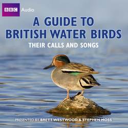 Guide To British Water Birds