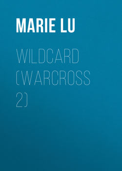 Wildcard (Warcross 2)