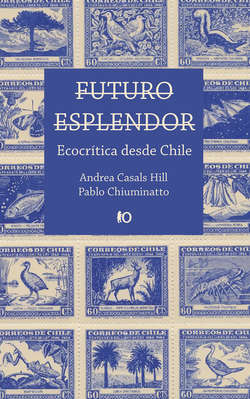 Futuro esplendor