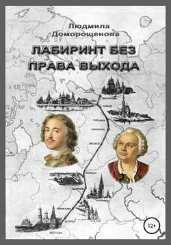 Лабиринт без права выхода. Книга 1. Загадки Ломоносова