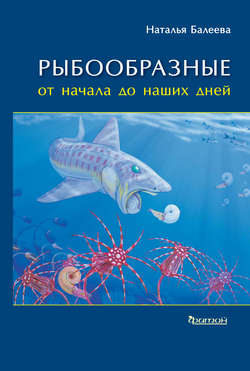 Рыбообразные от начала до наших дней