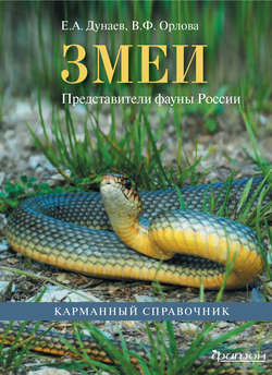 Змеи. Представители фауны России