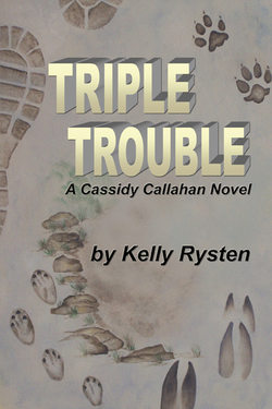 Triple Trouble: A Cassidy Callahan Novel